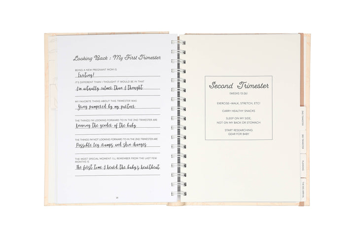 Blush Leaves My Pregnancy Keepsake Journal